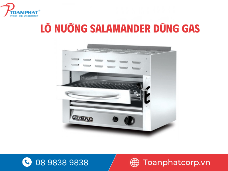 Lò nướng công nghiệp dùng gas