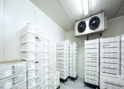 THI CÔNG LẮP ĐẶT KHO LẠNH CÔNG NGHIỆP