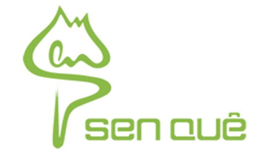 NHÀ HÀNG SEN QUÊ – NÉT DUYÊN TRONG ẨM THỰC VŨNG TÀU